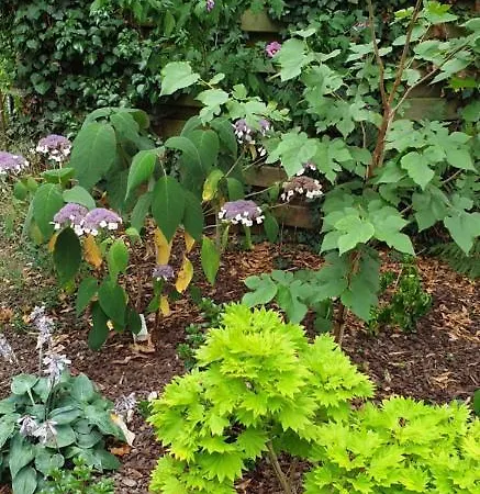 Inblauw - Exclusive Wellness 4*