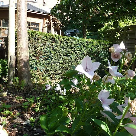 Bed & Breakfast Inblauw - Exclusive Wellness