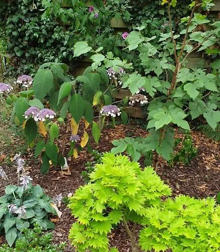 Inblauw - Exclusive Wellness 4*