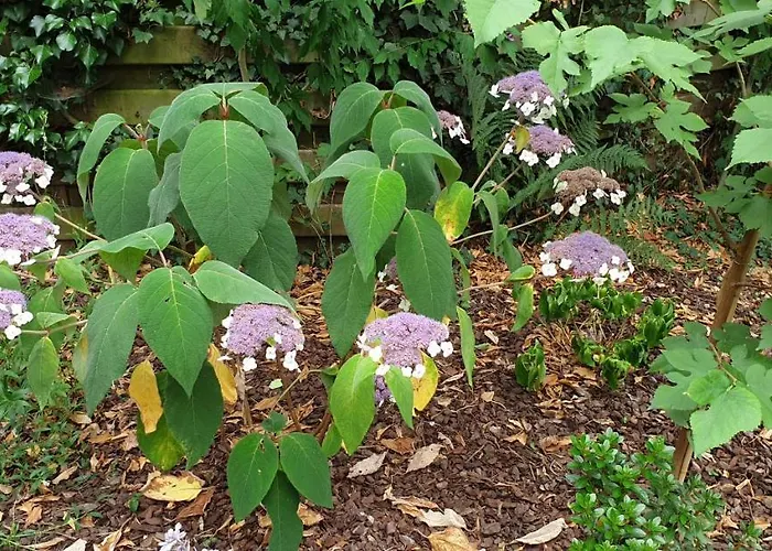 Bed & Breakfast Inblauw - Exclusive Wellness 4*