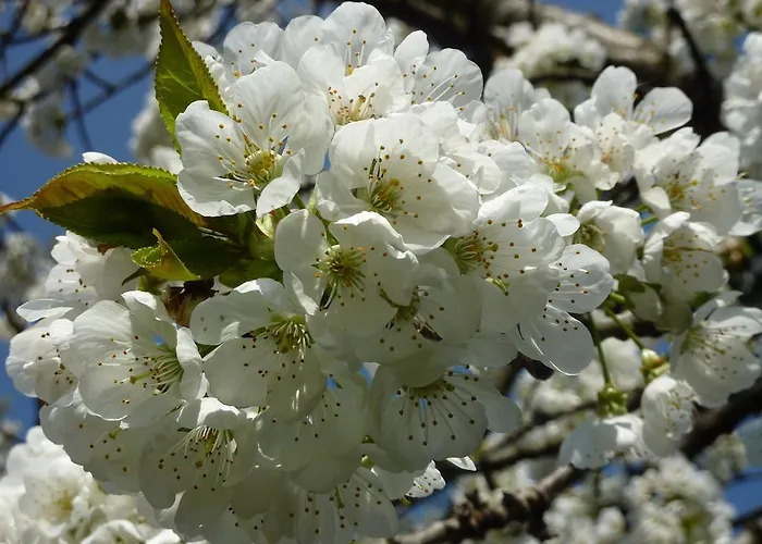 Inblauw - Exclusive Wellness