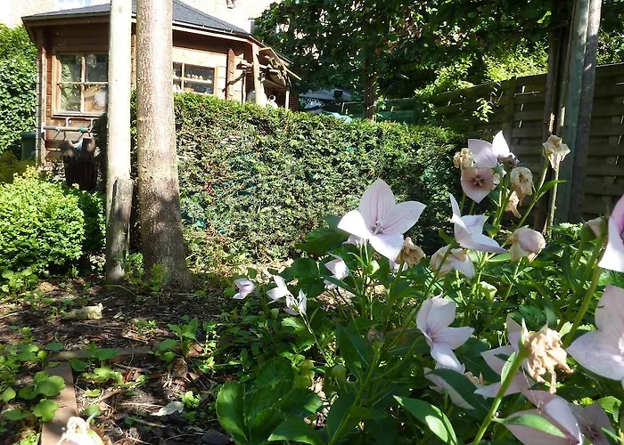 Bed & Breakfast Inblauw - Exclusive Wellness